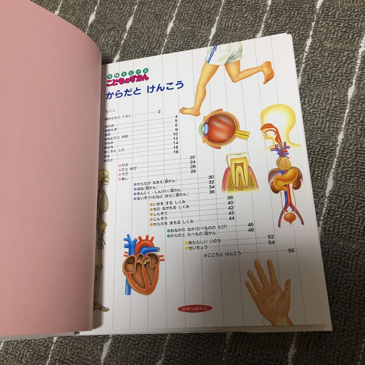 体験を広げるこどものずかん　９ （体験を広げるこどものずかん　　　９） （改訂新版） 牧野　公夫　編