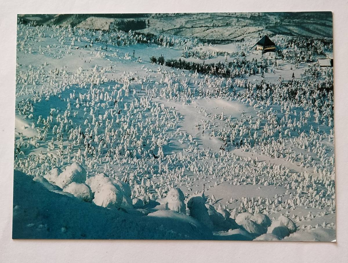 絵葉書 蔵王 樹氷原コースとユートピアゲレンデ                                 の画像1