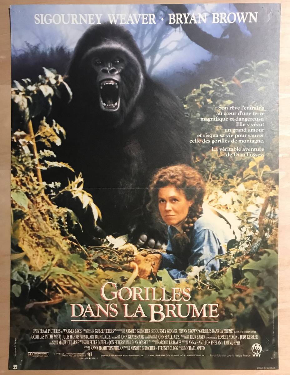 ★レア！「 Gorilles dans la brume (1988年）」 愛は霧のかなたに 1989年 フランス版 オリジナル ポスター　出演： Sigourney Weaver_画像1