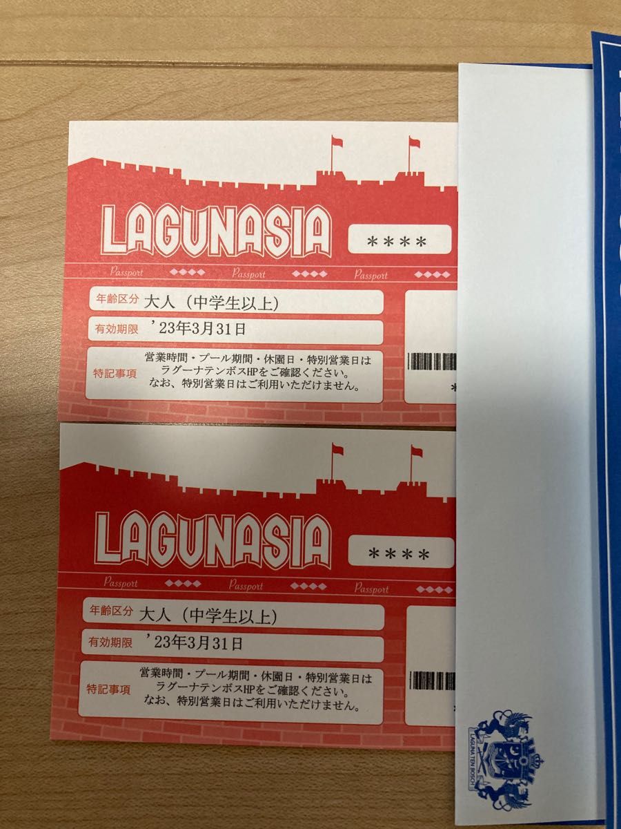 ラグーナ 入園+昼プールチケット 2枚 - 遊園地