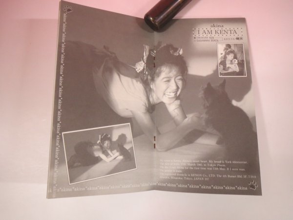 62681 中森明菜 FC会報 MILKY HOUSE Vol.33(中古)のヤフオク落札情報