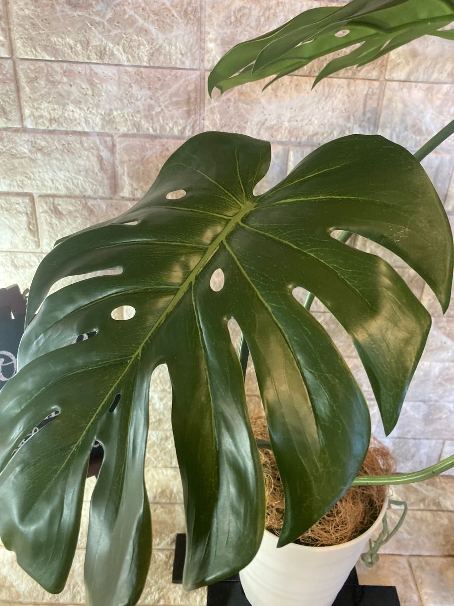 光触媒 人工観葉植物 ウォールグリーン フェイク フラワー モンステラ