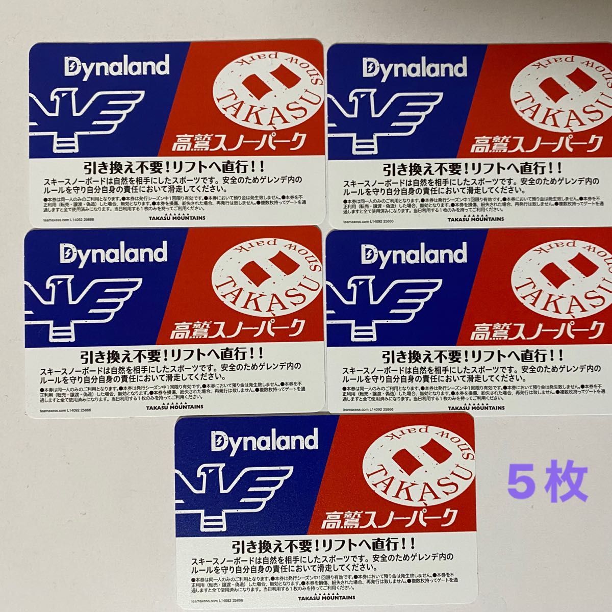 高鷲スノーパーク リフト券 6枚!2枚セット毎のバラ売りも可能です!-
