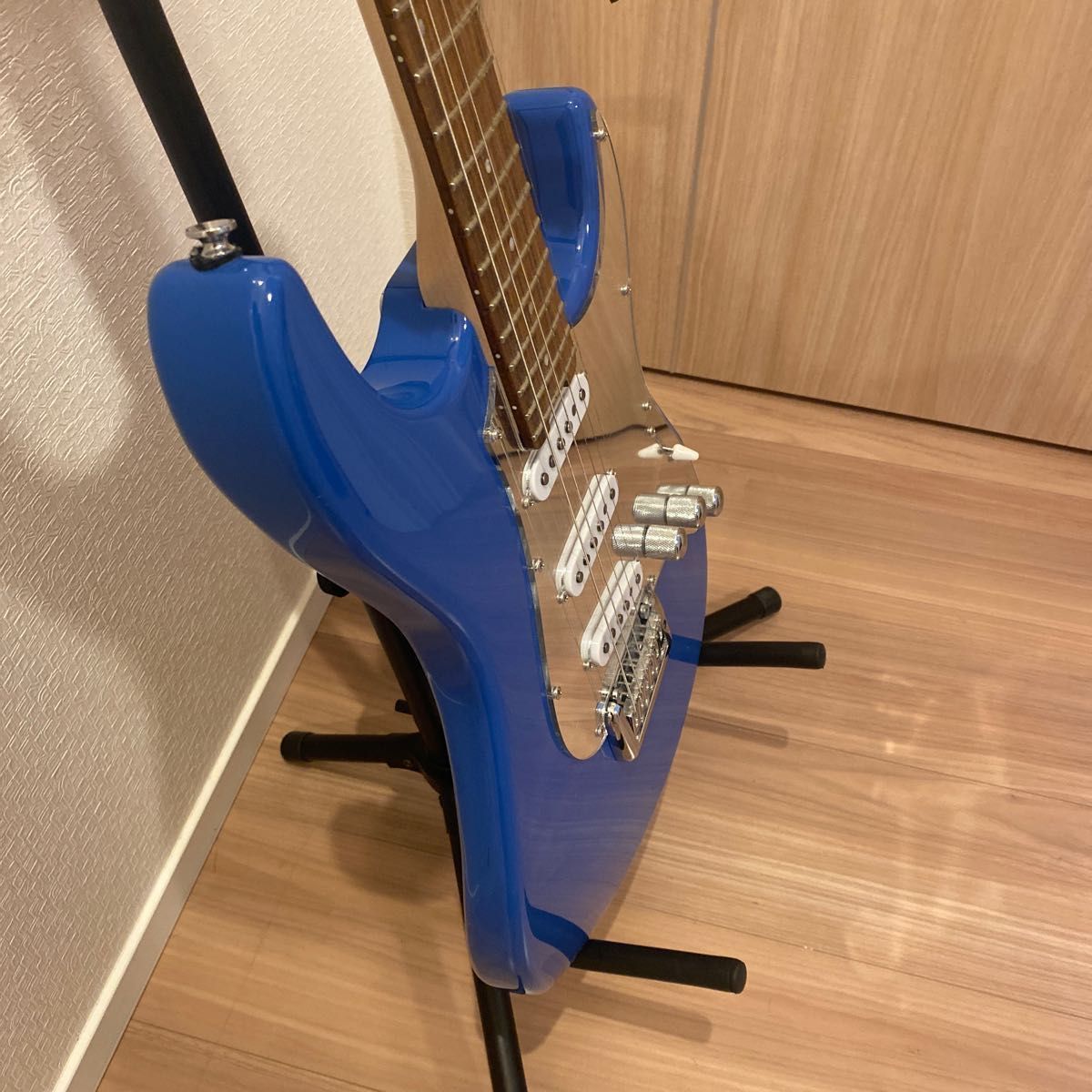 BanG Dream! SNAPPER Tae ESP×バンドリ! スナッパー 花園たえモデル