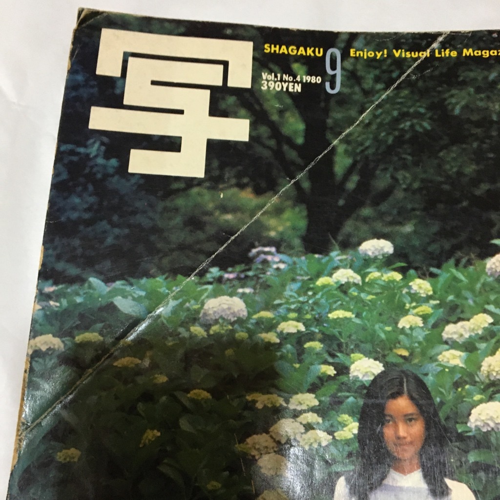 写楽 1980年9月号 手塚さとみ ポスター無 手塚理美 ヌード 裸 矢沢永吉 阿川泰子の画像3