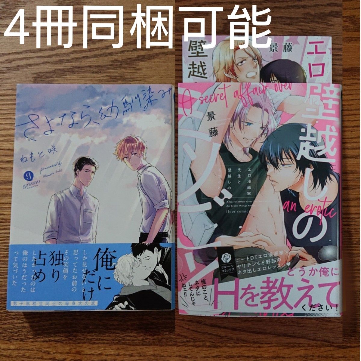 2冊セット!!美品☆さよなら、幼馴染み/ねもと咲/エロ漫画家先生と壁越しのミツごと/景藤/BL 漫画/特典付き☆カテゴリ変更可能