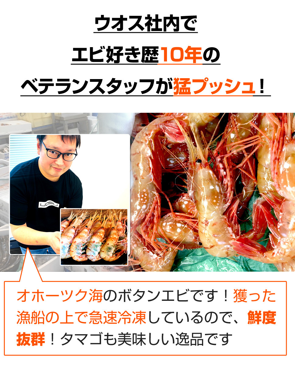 特別セール品】 ボタンエビ ほたて 海鮮セット ボタンえび メスLサイズ 1kg L Mサイズ厳選 野付産特大ホタテ貝柱 2kg ふるさと納税 刺身 海鮮 ホタテ えび 海老 ふるさと ふるさと納税 海鮮食べ比べ!えび ・ ほたて 海鮮セット ボタンえびメスLサイズ 1.5kg + L・Mサイズ厳選 野付産特大ホタテ貝柱 2kg( えび 海老.. 北海道別海町