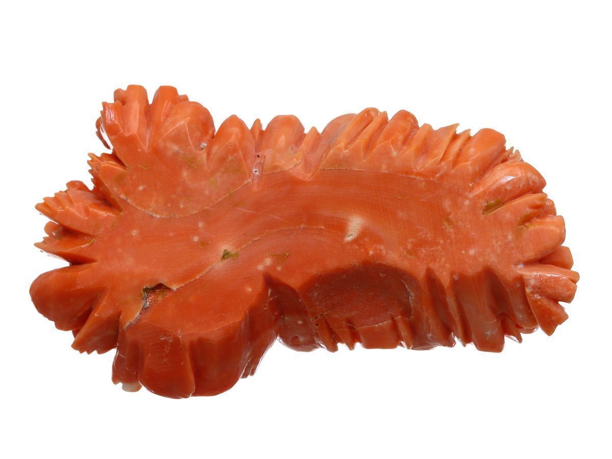 最先端 類稀な見事な彫刻 本珊瑚 ..2g 彫刻 菊 牡丹