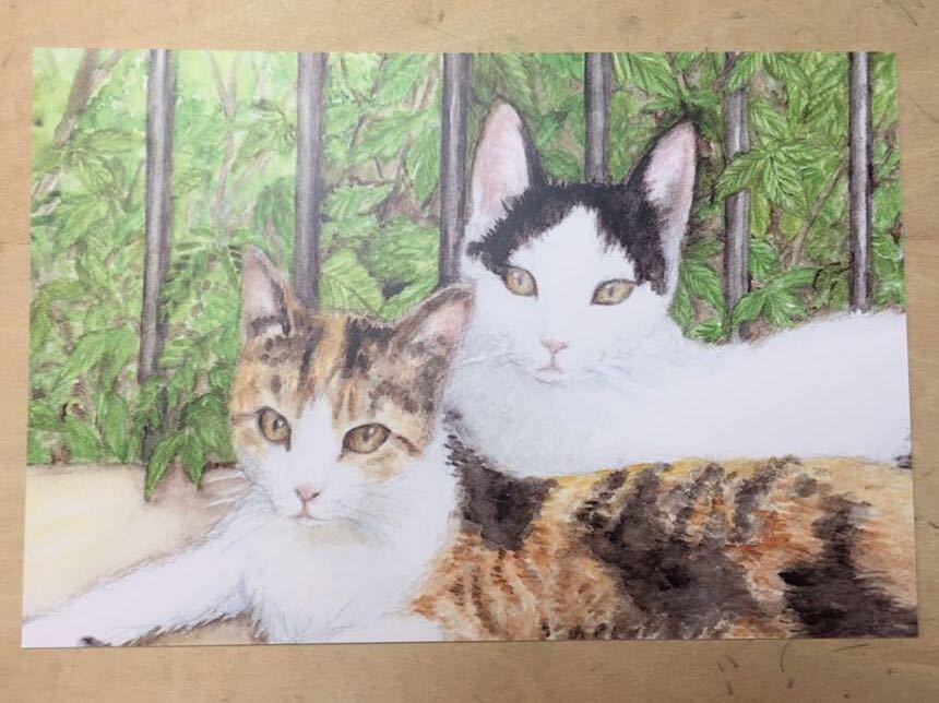 手描きイラスト ポストカード 猫 複製画 ハチワレ猫 水彩 【あおきしずか】_画像1