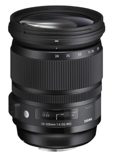 SIGMA 24-105mm F4 DG OS HSM | Art A013 | Nikon F-FXマウント | Full