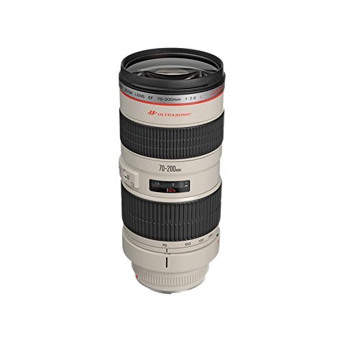 Canon 望遠ズームレンズ EF70-200mm F2.8L USM フルサイズ対応(中古品)
