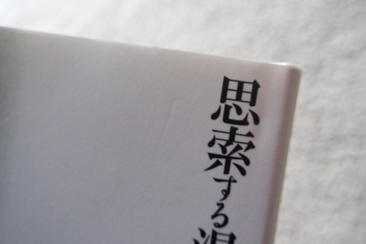 思索する湯川秀樹 日本人初のノーベル賞受賞者の天才論 (世界思想社) 山崎國紀_画像2