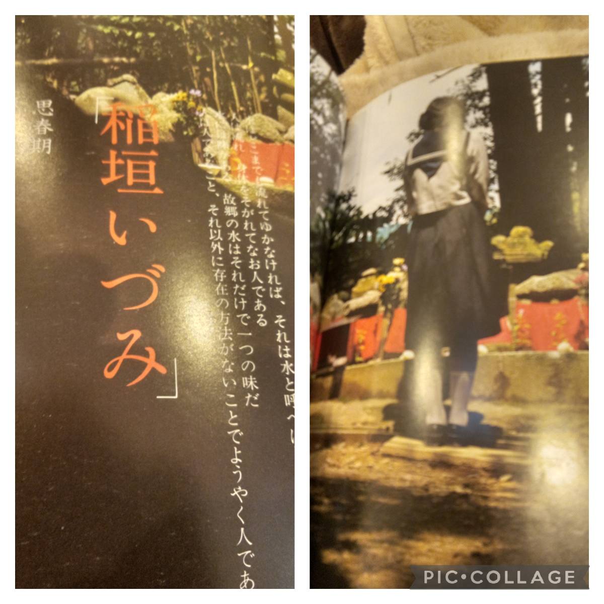 白夜書房杉浦則夫写真集 早春譜　　篠塚ひろ美　原田由起子　稲垣いづみ　フル◎ー◎_画像5