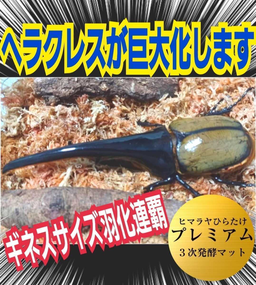 ヘラクレスに抜群！進化した！極上☆プレミアム3次発酵カブトムシマット　トレハロース・キトサン強化！　産卵にも抜群！雑虫湧きません_画像3