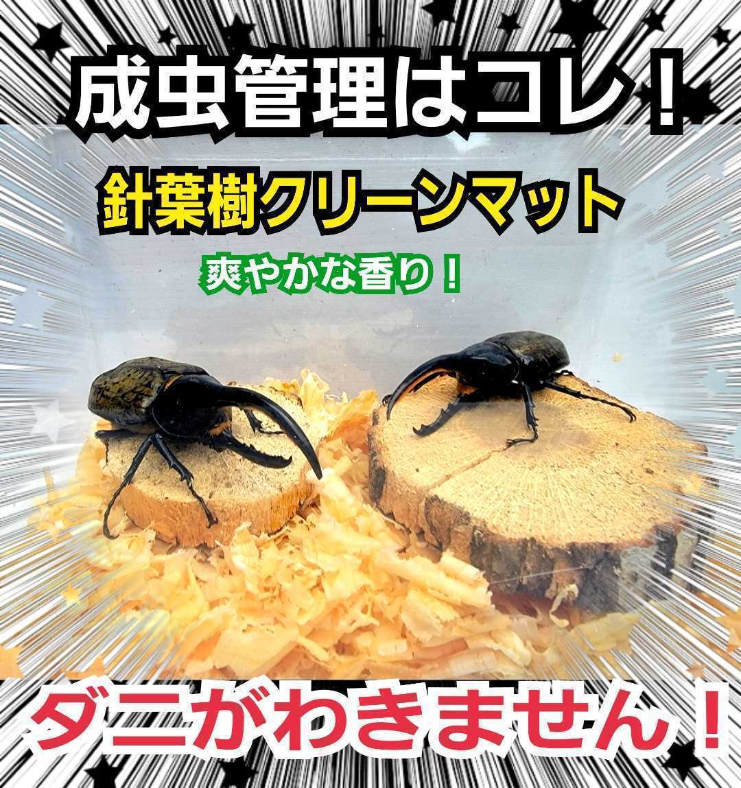 クワガタの成虫飼育はコレ！　爽やかな香りの針葉樹クリーンマット☆ダニが湧きません！　ケース内が明るくなり生体がかっこ良く見える_画像9