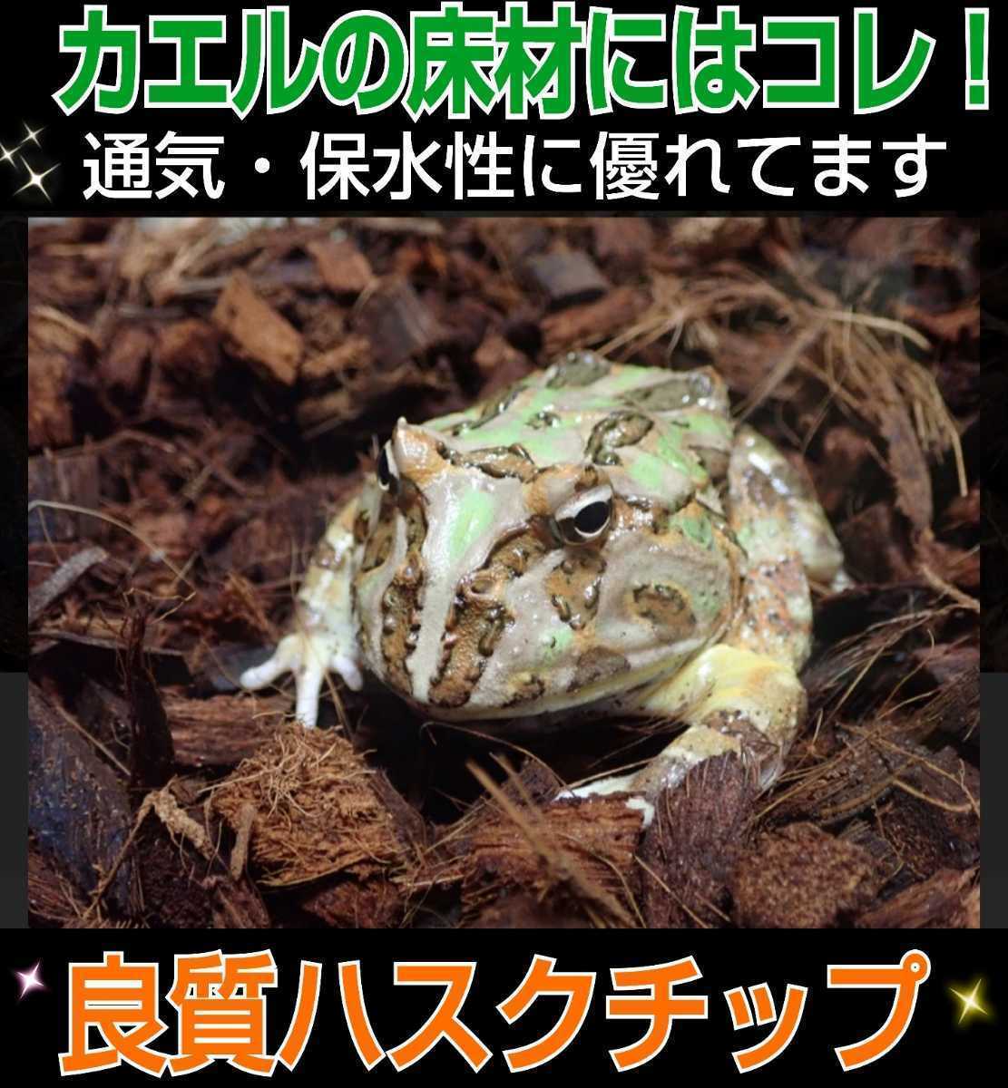 カブトムシの転倒防止に最適なマット☆成虫管理用ハスクチップ☆5リットル袋☆厳選した良質な天然素材100％ 消臭・保水性に優れダニ防止に_画像9