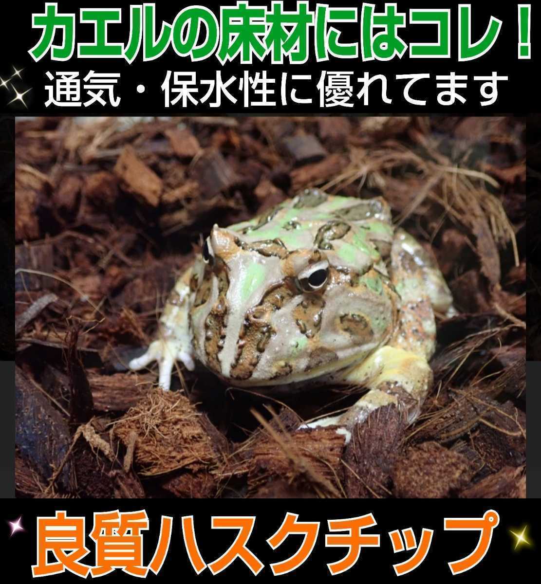 カブトムシの転倒防止に最適なマット　成虫管理用ハスクチップ☆5リットル袋☆厳選した良質な天然素材100％ 消臭・保水性に優れダニ防止に_画像9