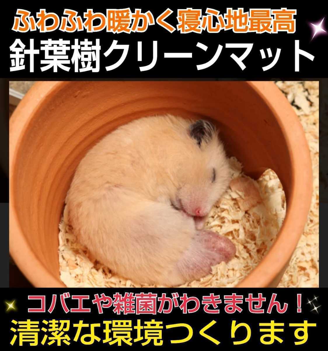  squirrel * hamster *morumoto* rabbit. flooring .! soft. needle leaved tree mat [2 sack ] mites *kobae prevention! anti-bacterial, deodorization effect equipped! refreshing . fragrance. 