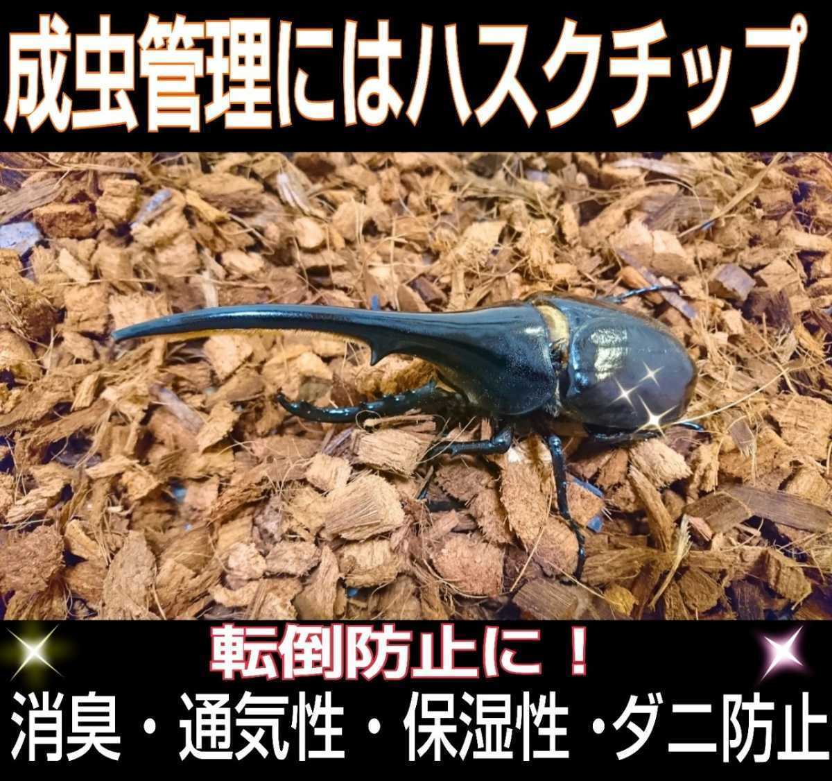 カブトムシの転倒防止に最適なマット☆成虫管理用ハスクチップ☆5リットル袋☆厳選した良質な天然素材100％ 消臭・保水性に優れダニ防止に_画像7