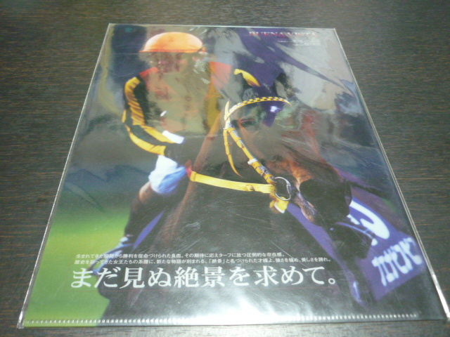 新品未開封◆即決◆JRA ヒーロー列伝No.69 ブエナビスタ クリアファイル◆来場ポイントキャンペーン当選品_画像1