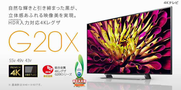 81%以上節約 東芝 REGZA 43J20X 4Kテレビ タイムシフト対応 i9tmg.com.br