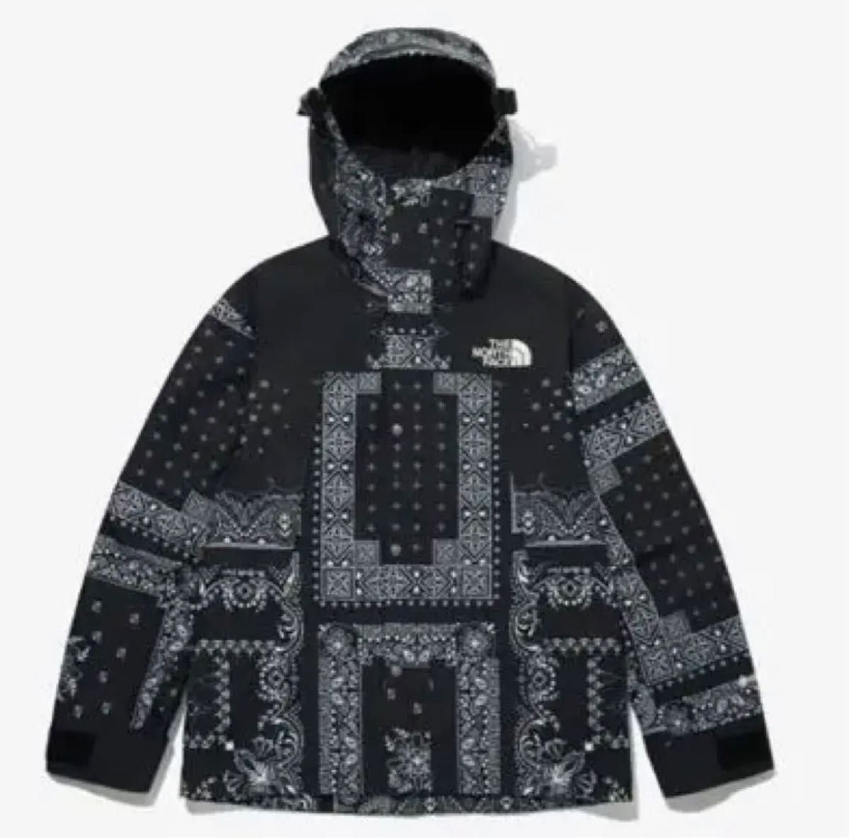 大人気！ノースフェイス ノベルティ ペイズリー バンダナ マウンテンパーカー THE NORTH FACE GORE-TEX