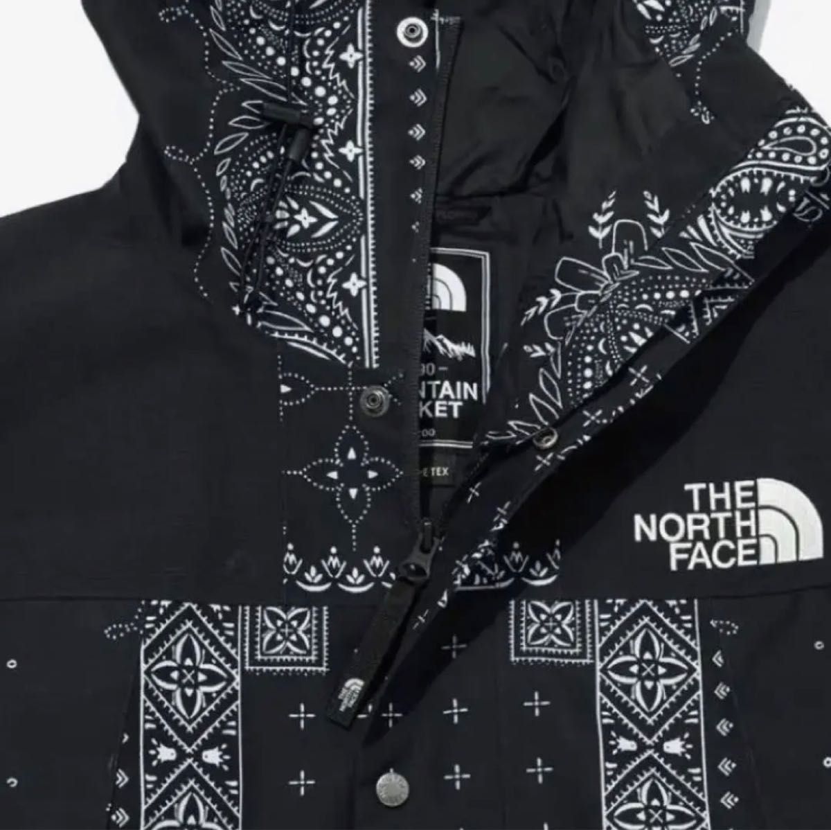 大人気！ノースフェイス ノベルティ ペイズリー バンダナ マウンテンパーカー THE NORTH FACE GORE-TEX