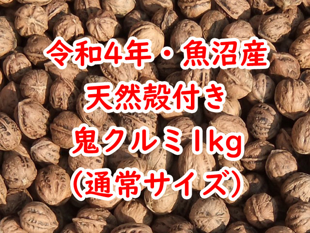 令和4年☆新潟・魚沼産☆天然殻付き鬼くるみ☆1kg☆通常サイズ☆国産鬼