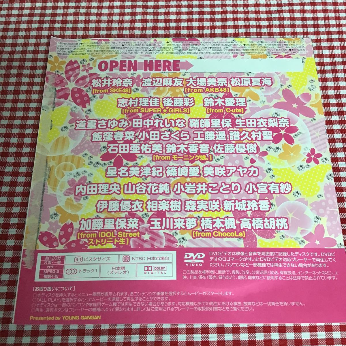 長期保管品 ヤングガンガン 2013年 付録 「 未開封 DVD 松井玲奈 渡辺