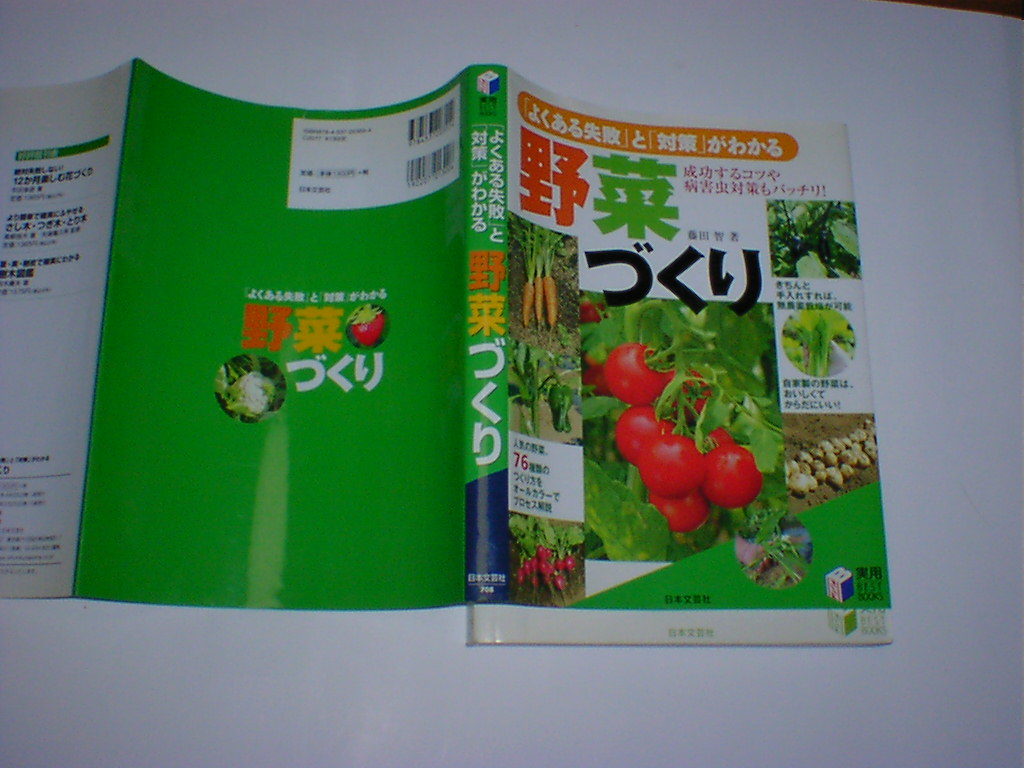 「よくある失敗」と「対策」がわかる野菜づくり　即決_画像1