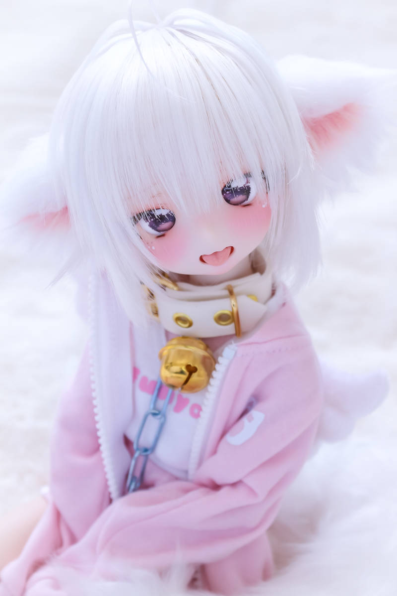 【MDD(DD)サイズ】悪い子仕様の飼い主セット【 白×金 】_画像4