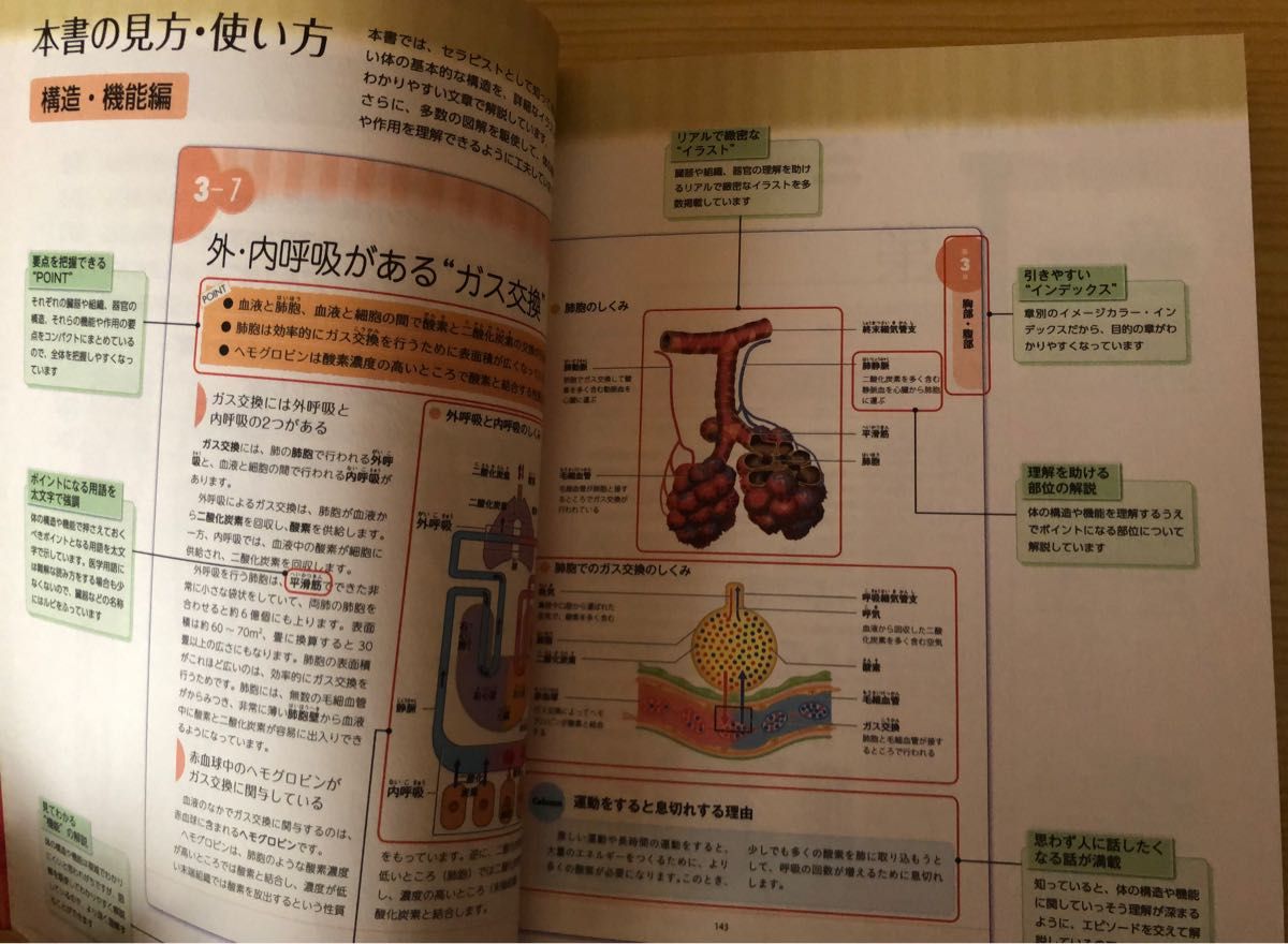 セラピストのための見てすぐわかる解剖生理学 石田秀行監修 覗いてみたい先輩ＯＴの頭の中　ぼくが臨床で大切にしていること 谷川正浩著