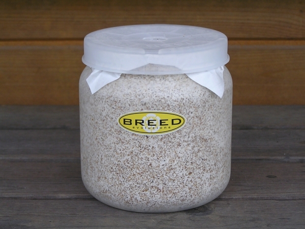 超ポイント祭?期間限定】 高品質・高性能 BREED菌糸ビン 1500ml 15本