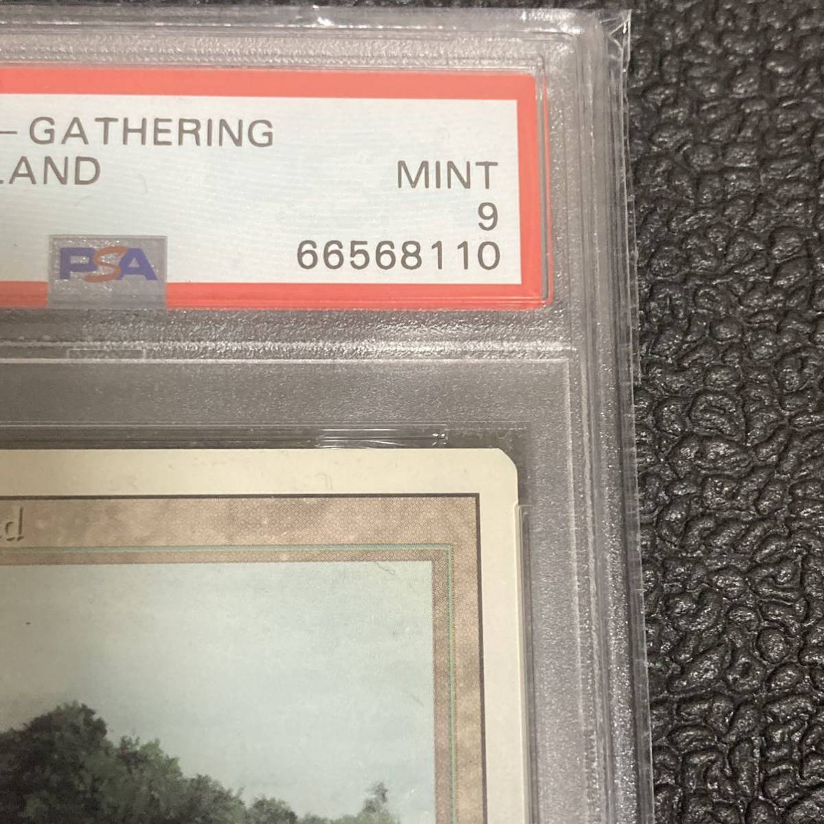 【PSA鑑定品】MTG Tropical Island トロピカルアイランド マジックザギャザリング デュアルランド英語版 リバイズド revised 3ED PSA9