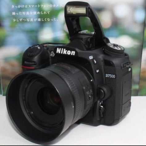 予備バッテリー&カメラバッグ付ニコン D7500 単焦点レンズセット 