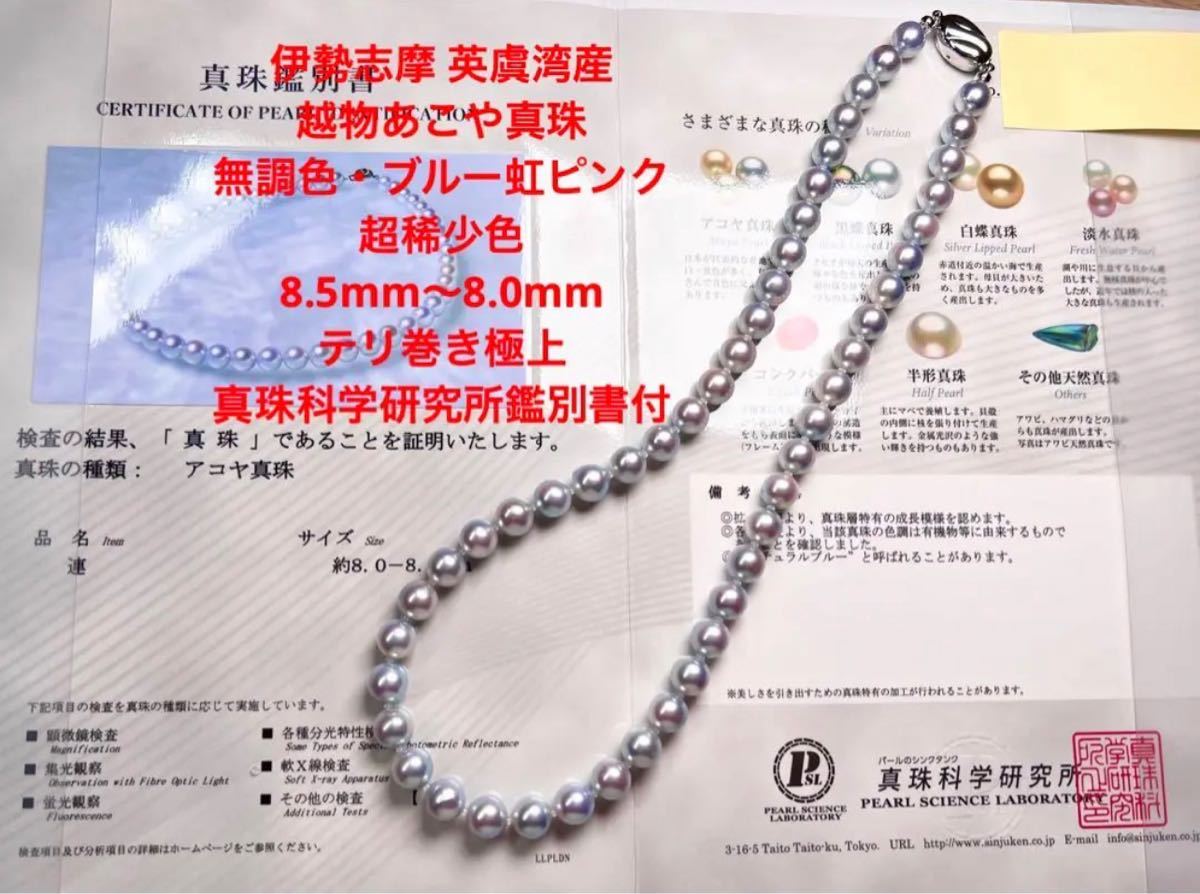 伊勢志摩 英虞湾産 あこや真珠 無調色大珠 9.0mm ブルーピンク 割引