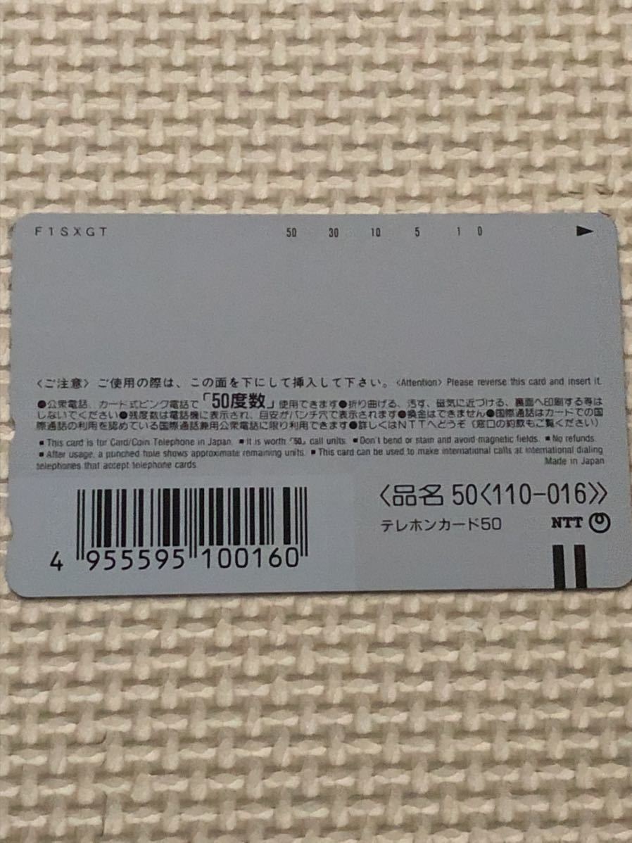 【未使用】テレホンカード 大井川鉄道株式会社 C11 312の画像2