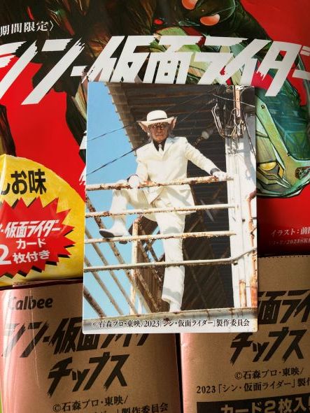 マルコビッチ様専用♡シン仮面ライダー クモオーグ コウモリオーグ
