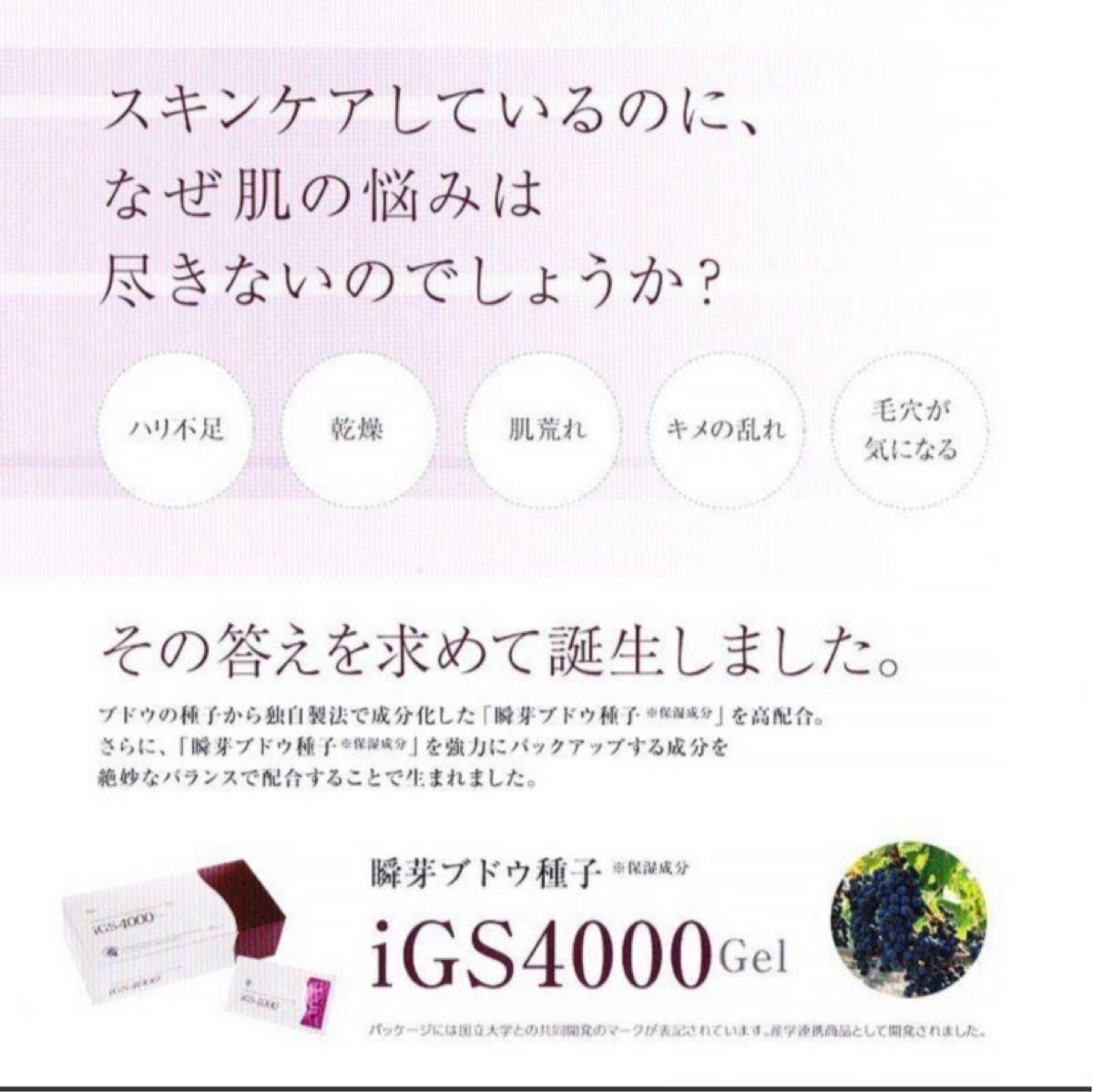 igs4000 スキンケアジェル 10箱セット｜PayPayフリマ