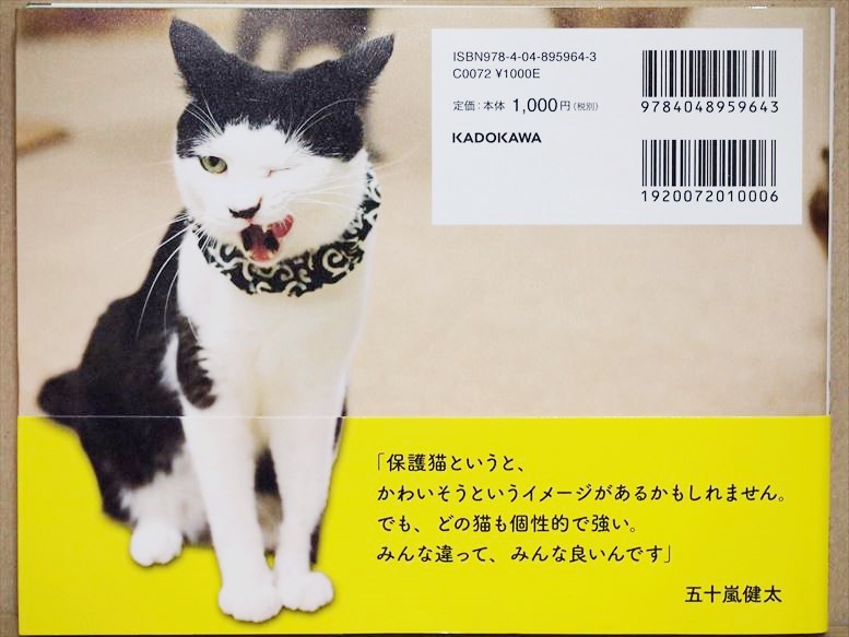 * бесплатная доставка * [HOGO кошка ]. 10 гроза . futoshi HOGO кошка защита кошка фотоальбом 