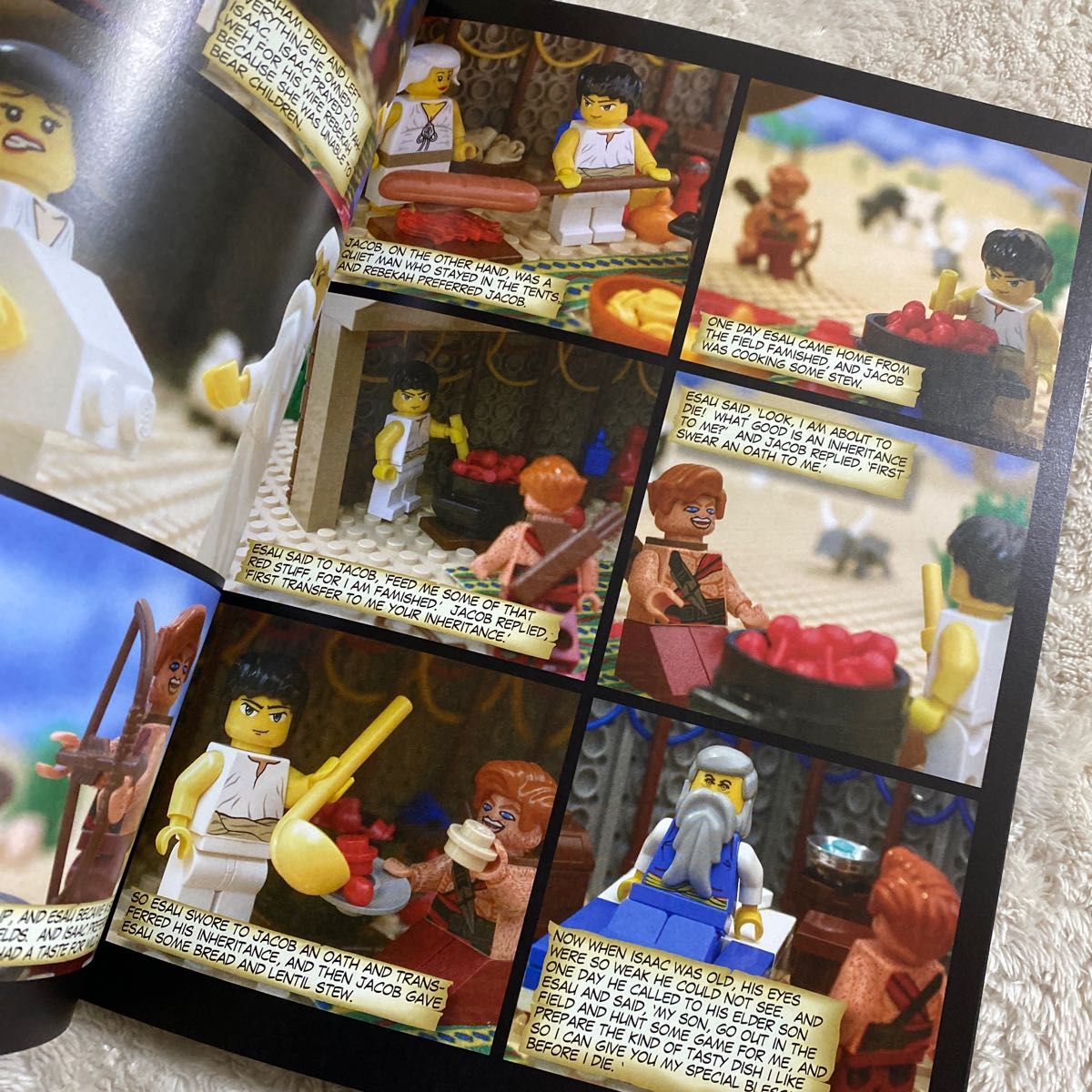 THE BRICK BIBLE