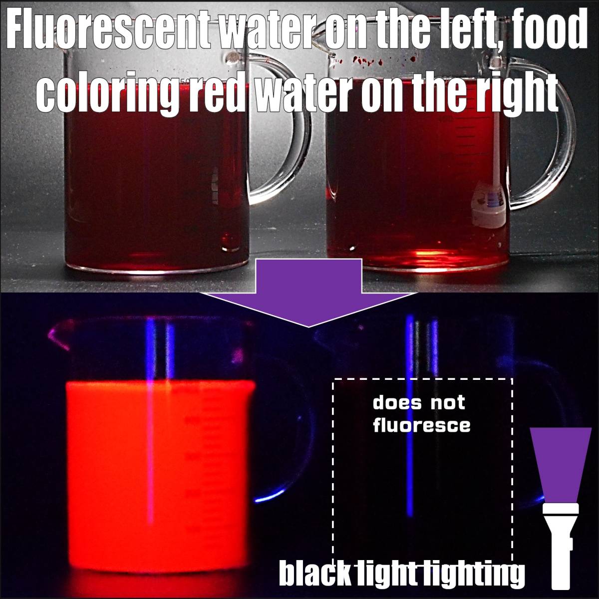 Fluorescent powder for fishing bait fluorescent red 1/4oz made in Japan Yamasita-Gyoguten_画像2