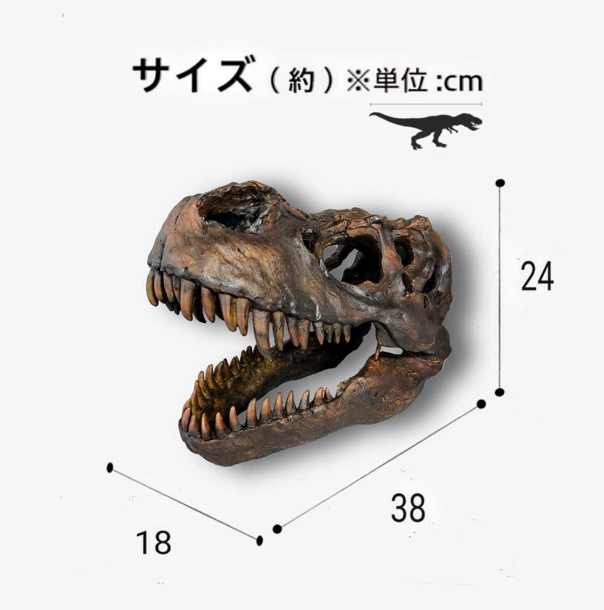 DINOWORLD】 ティラノサウルス T-REX 恐竜 化石 頭骨 オブジェ
