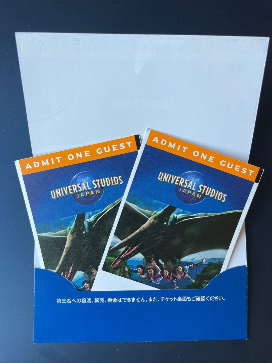 USJ チケット 2枚セット ユニバーサルスタジオジャパン スタジオパス