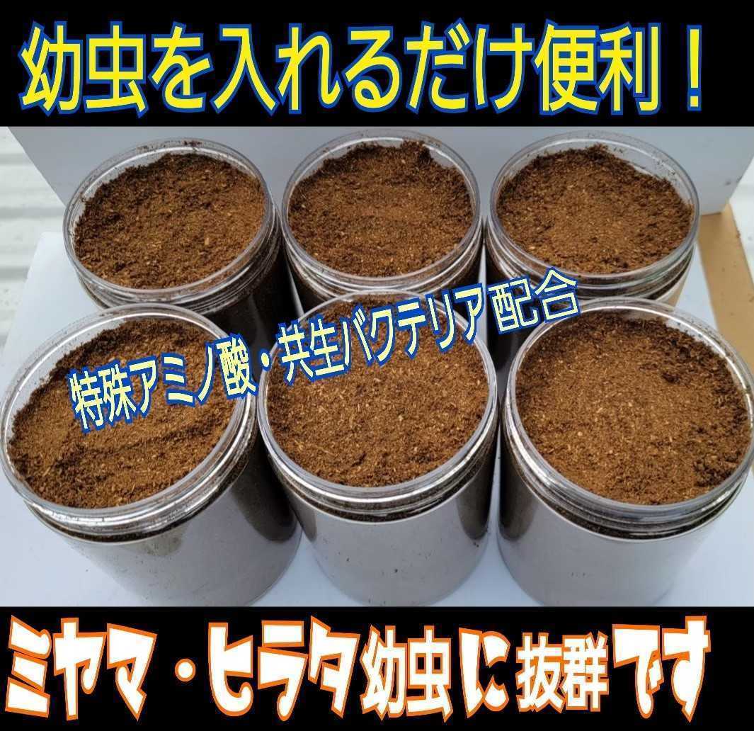  Miyama, saw ....! stag beetle larva . inserting only! convenience! clear bottle entering premium departure . mat [10ps.@]tore Hello s* chitosan combination 