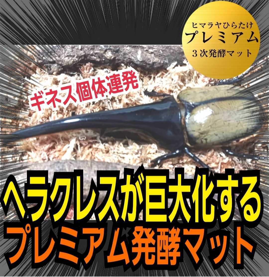 外国産カブトムシに抜群です！極上！進化した！プレミアム3次発酵マット　トレハロース・キトサン配合！ギネス級狙える！雑虫も湧きません_画像1