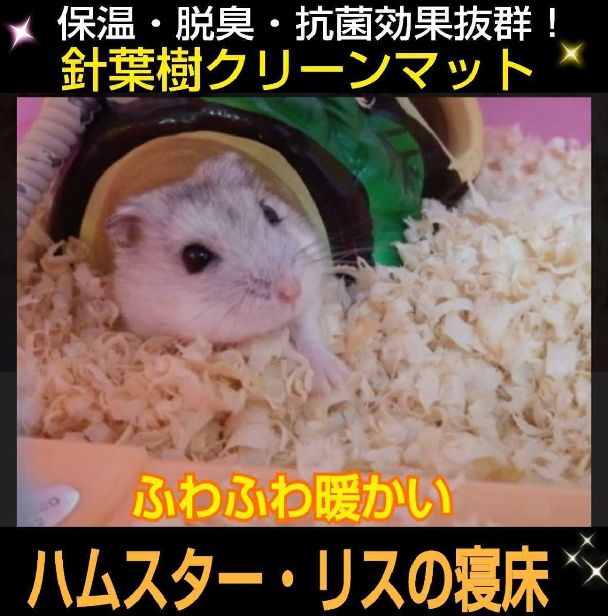  hamster * squirrel *morumoto etc.. small animals. flooring .! needle leaved tree clean mat refreshing . fragrance!kobae. mites ... attaching not anti-bacterial * deodorization effect 