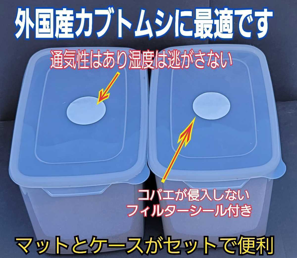カブトムシ幼虫を入れるだけ! 便利です!プレミアム3次発酵マット