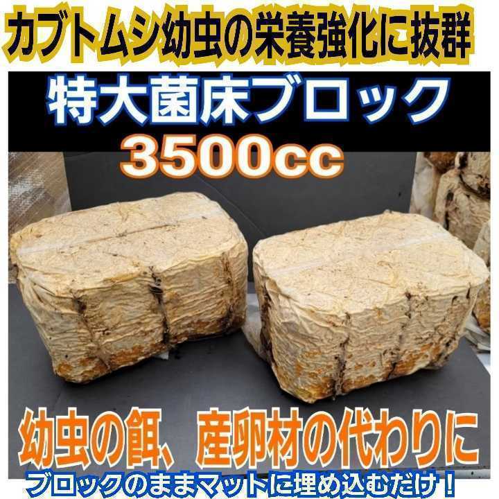 オオヒラタケ菌床ブロック【6個】クワガタの産卵材に オオヒラタケ菌床ブロック【6個】クワガタの産卵材に