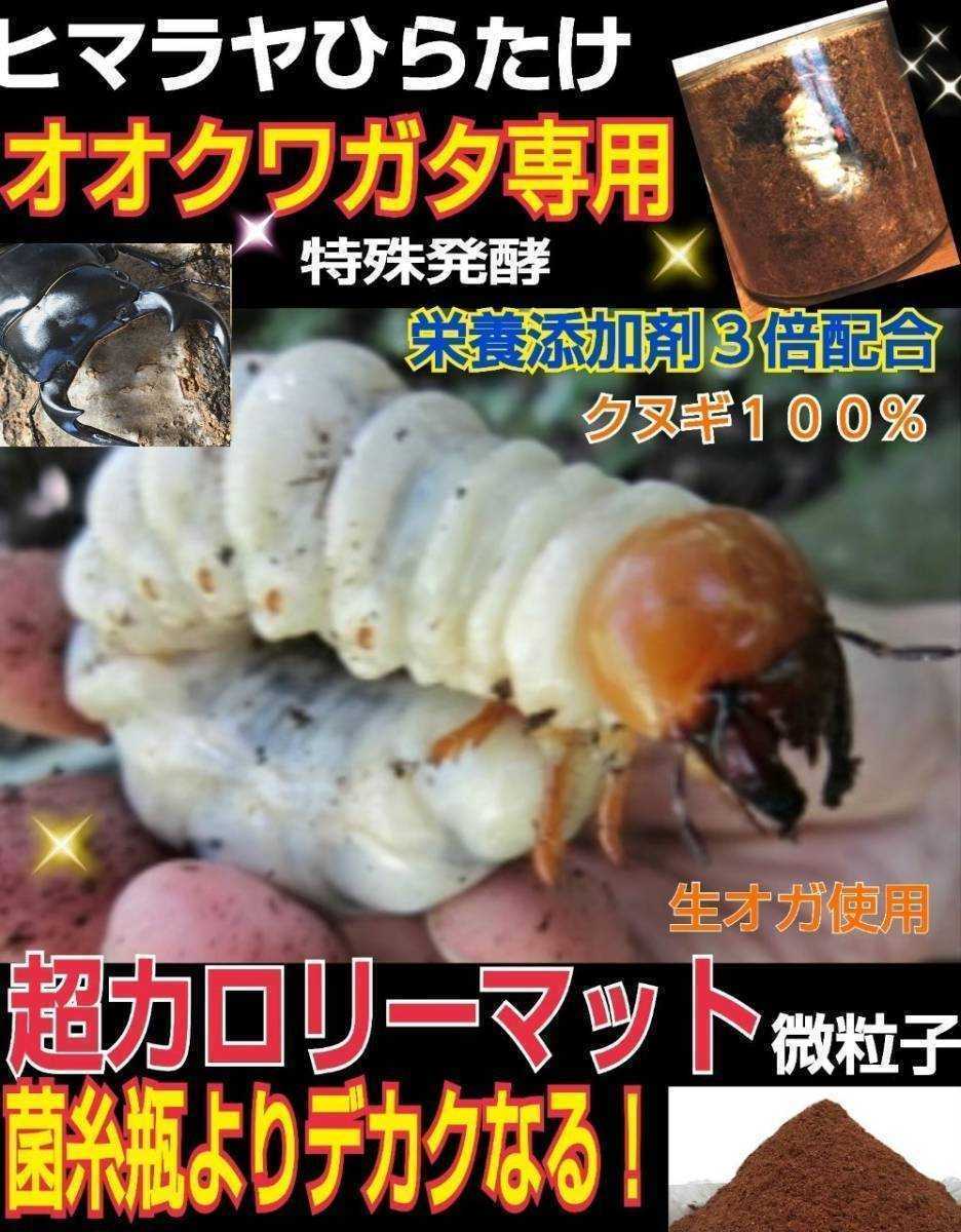 オオクワガタ専用☆超高カロリーマット！　生オガ特殊発酵 共生バクテリア、特殊アミノ酸など栄養添加剤3倍配合した究極の特選マットです！_画像9